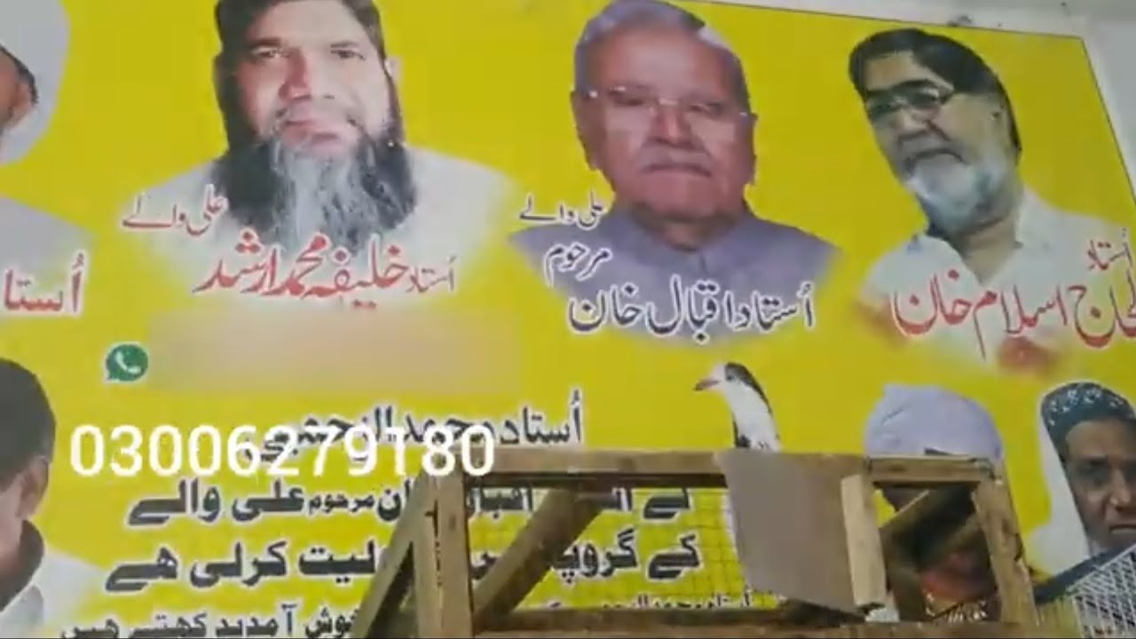 ali walay kabootar, history of ali walay kabootar,original ali walay kabootar,