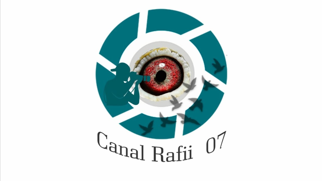 الوقاية خير من العلاج #الحمام الزاجل #أسفي مع 07رفيع ♥️🤍♥️🇲🇦🇲🇦