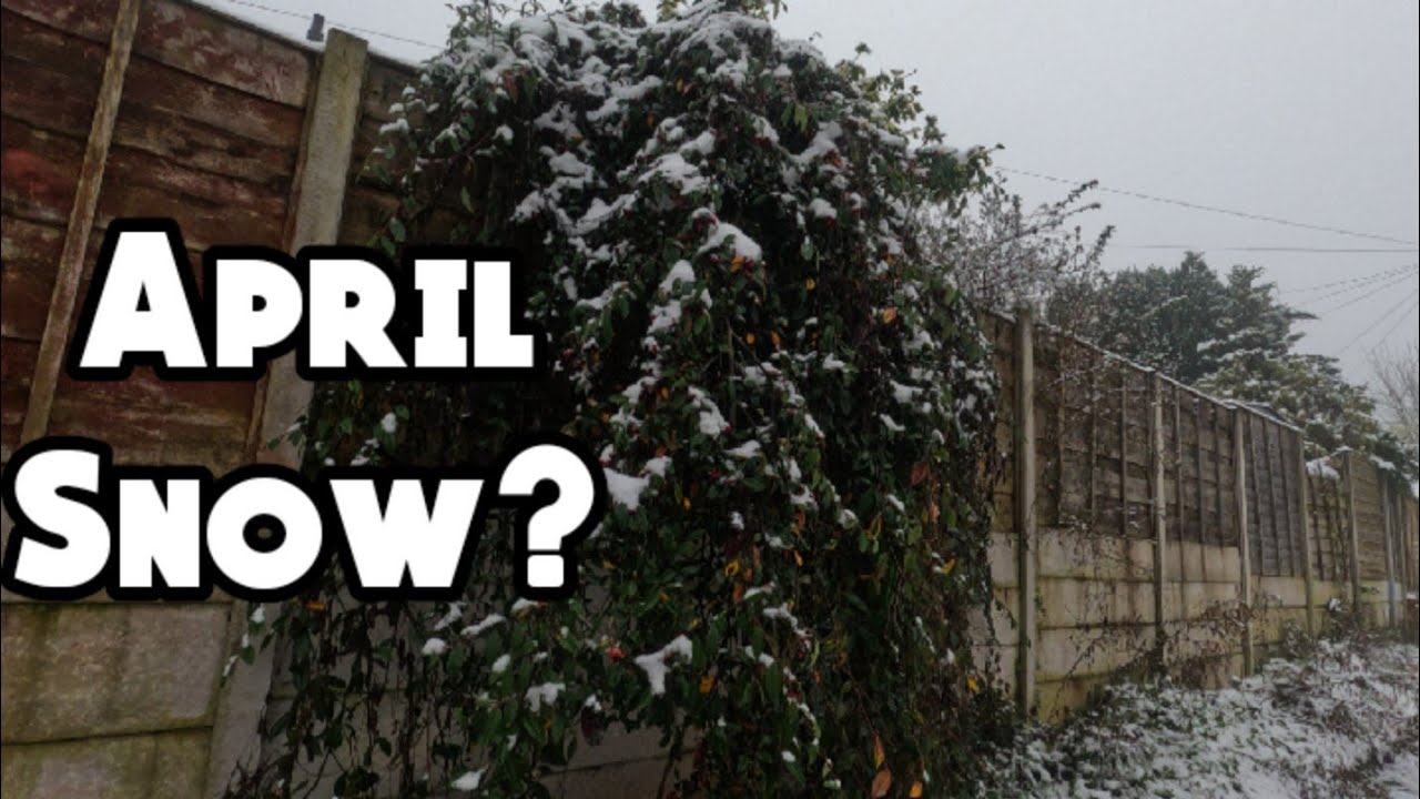 April Snow