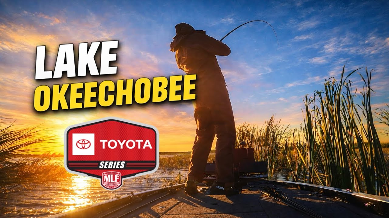 Боксерские маты | Серия Toyota Lake Okeechobee