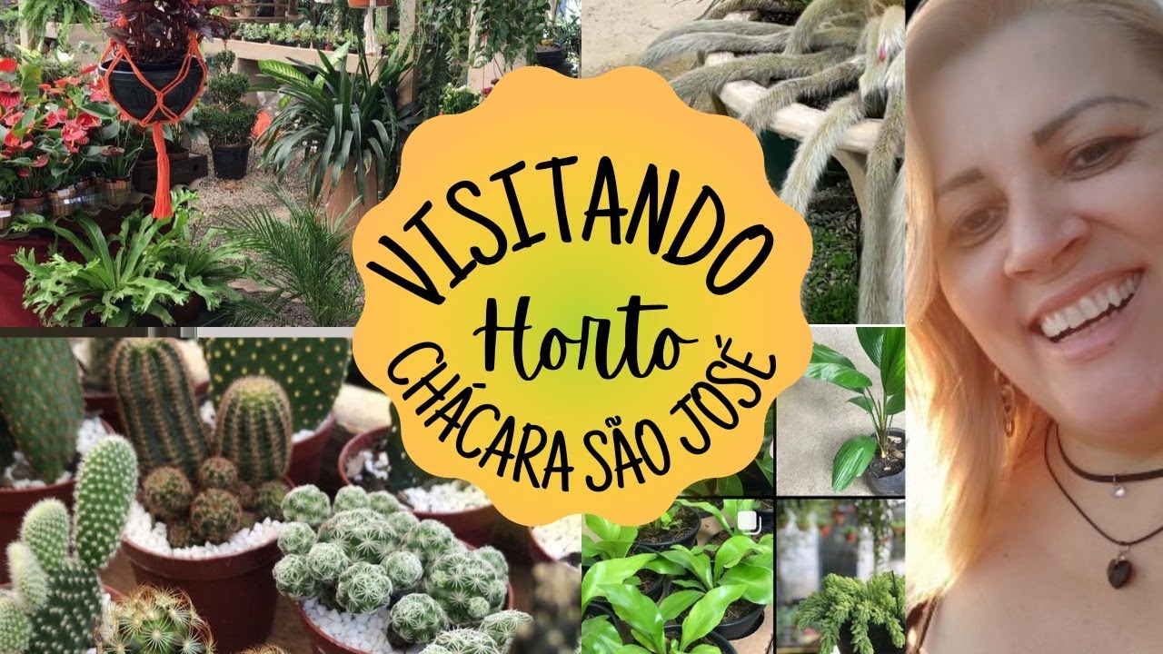 fui ao horto | tem muita coisa linda nesse vídeo | visita do jeito que vcs gostam ❤️