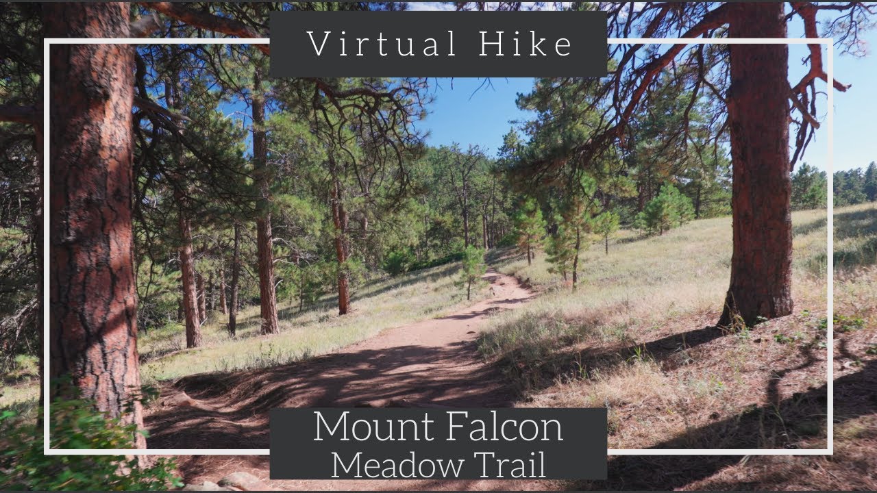 Mount Falcon Park | Meadow Trail | 4k Immersive Hikethrough