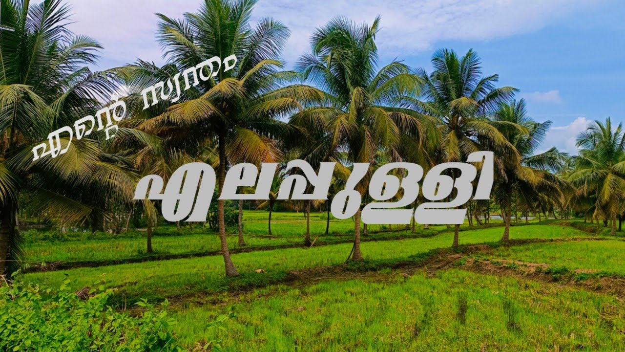 സുന്ദരമായ എലപ്പുള്ളിയിലൂടെ ഒരു യാത്ര| എന്റെ സ്വന്തം നാട്|പാലക്കാടൻ ഗ്രാമം| Elappully