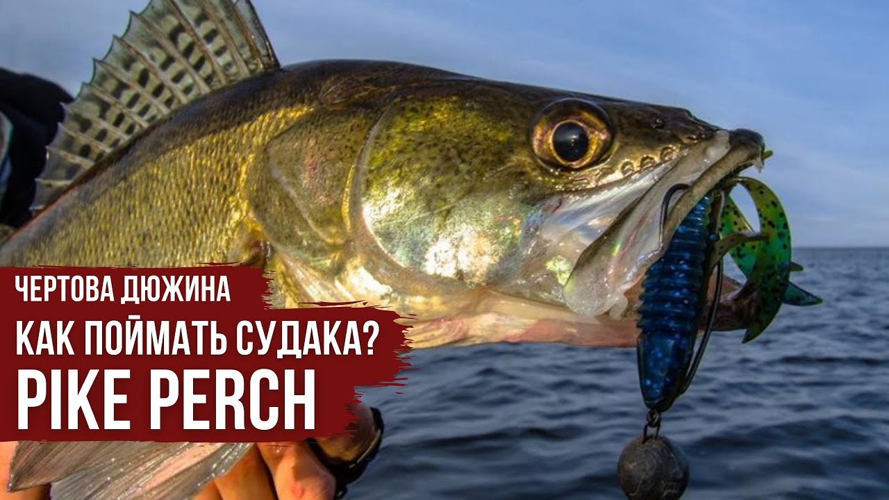 Судак \ Чертова дюжина \  Сезон #4