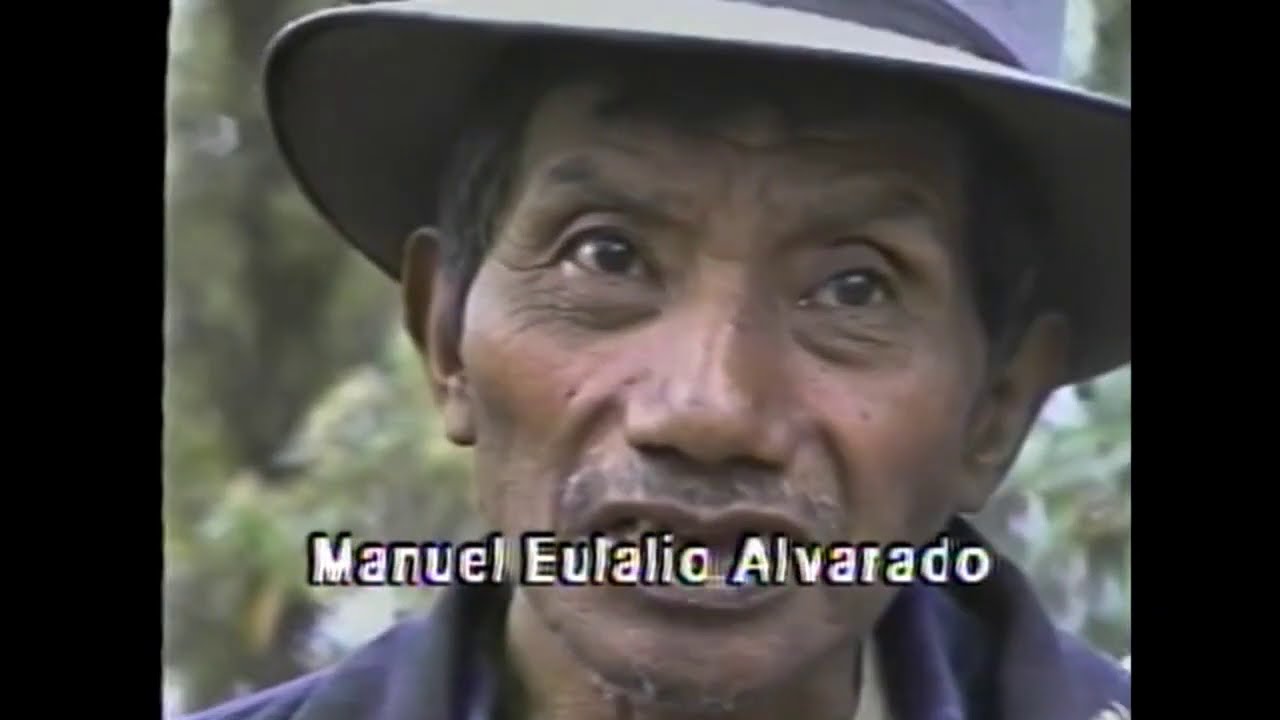 JORON CHE'RE CHUIMEKENA  AGUA Y ÁRBOL DE TOTONICAPÁN