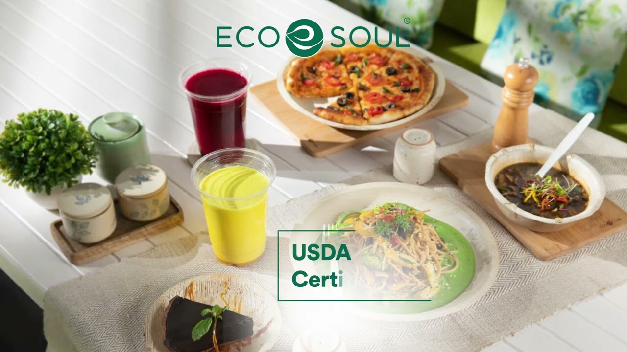 Compostable Palm Leaf Plates - Best eco-friendly plates - Affordable plates