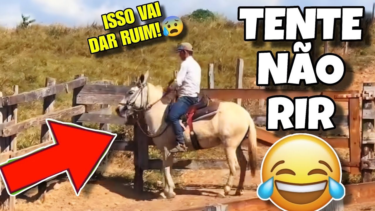 TENTE NÃO RIR: OS MELHORES VÍDEOS DA INTERNET #videosengracados #humor #tentenaorir #comedia #tiktok