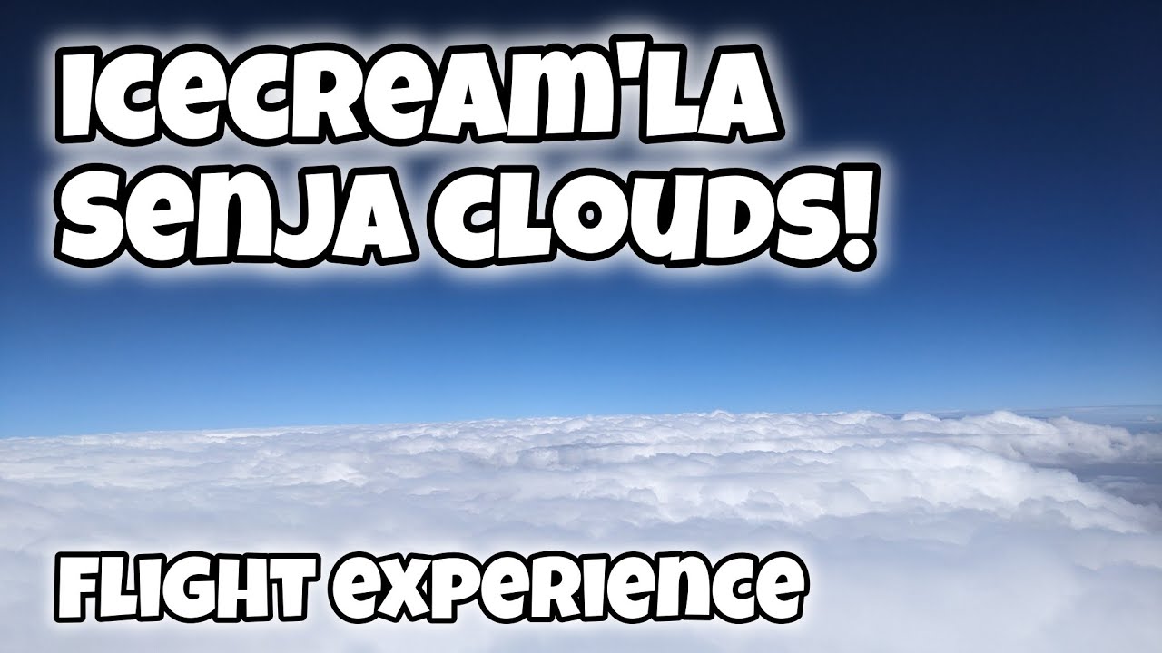 ஜெய்பூர் டூ சென்னை ஜாலி விமான பயணம் | immersive flight takeoff & Landing Experience