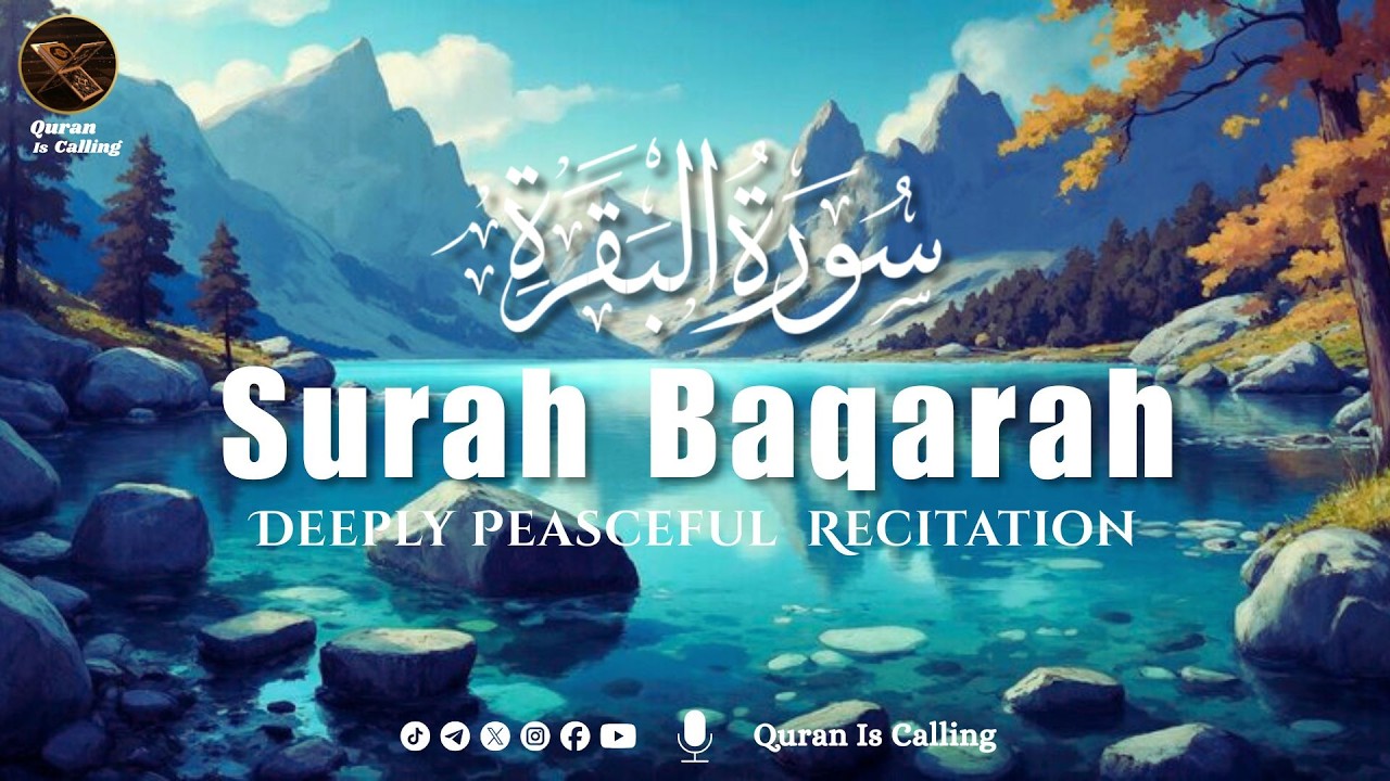 🌙 Surah Baqarah (سورة البقرة) | The Heart of the Quran | Calm & Soul Healing Recitation