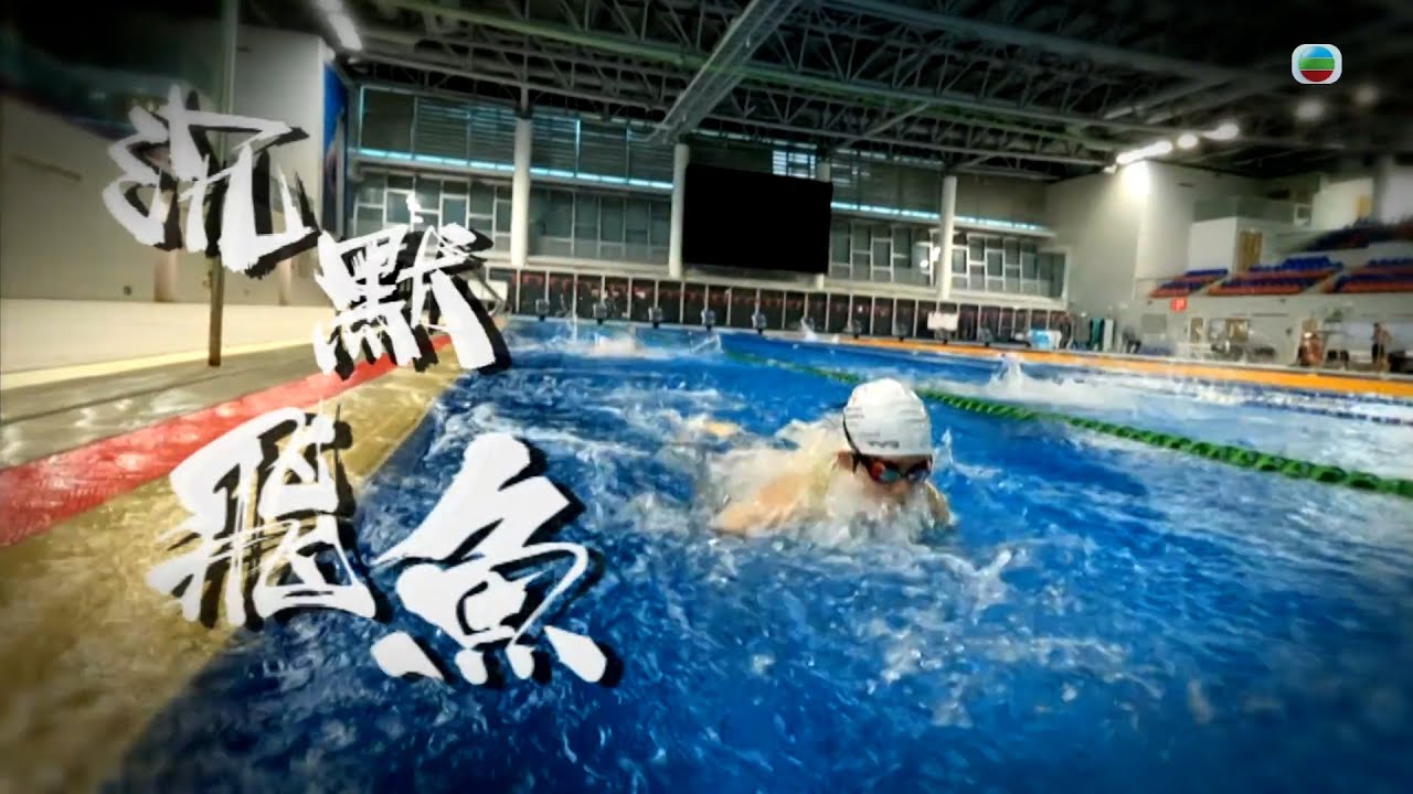 TVB星期日檔案 ｜ 沉默飛魚（ 繁   簡字幕 ）｜ 無綫新聞 ｜ TVB News
