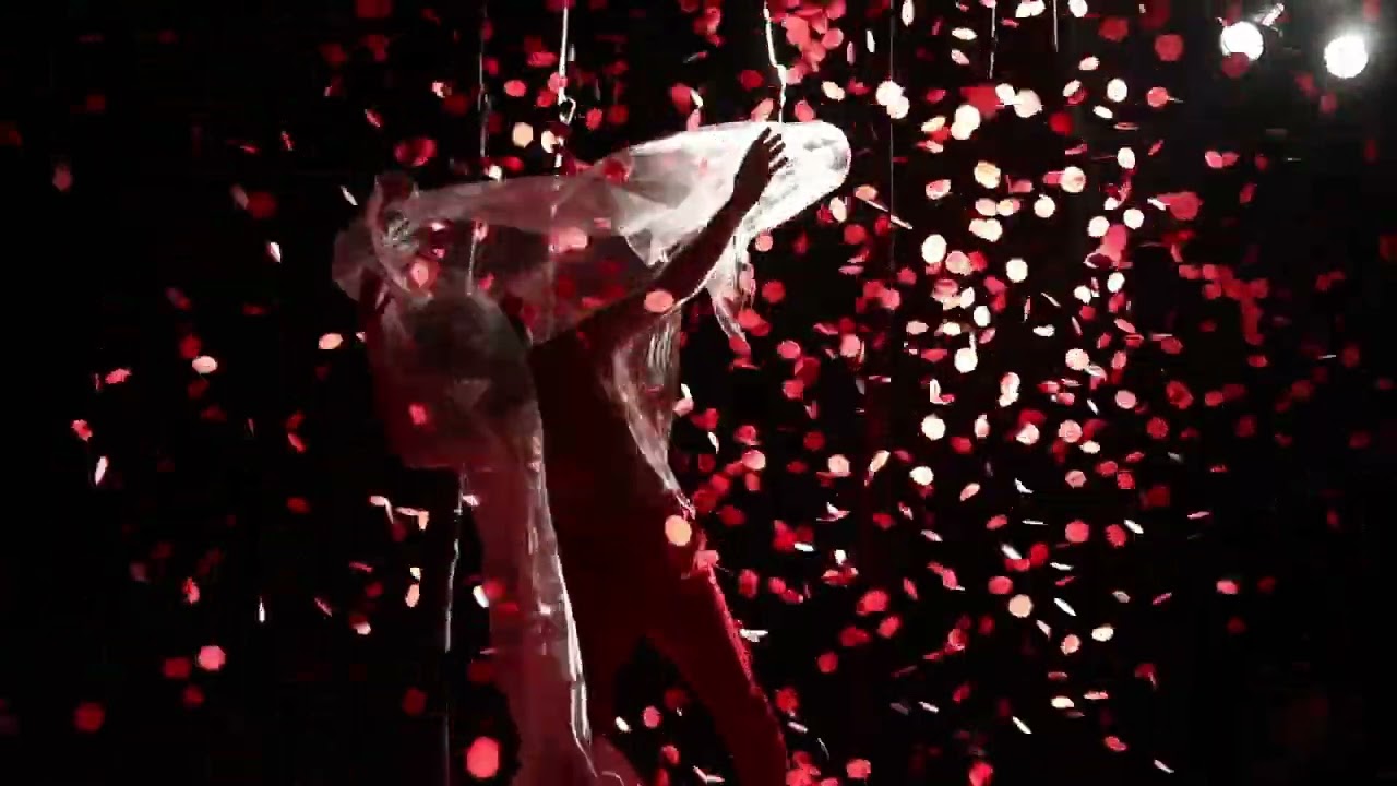 Perth Festival 2026 | Songs of the Bulbul