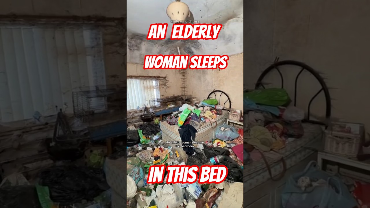 Компания Extreme Cleaning Transformation в Дареме предлагает комплексные услуги по уборке.