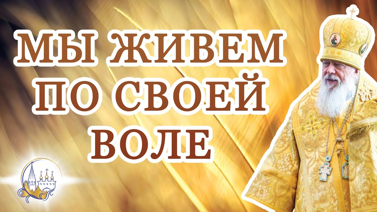 Мы живем по своей воле