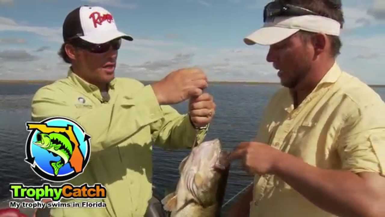 Giant Bass top water Explosion - Florida Trophy Catch Program - Get paid for catching big bass