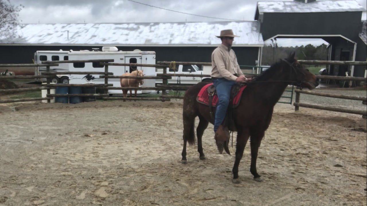 Horse Won’t Back Up