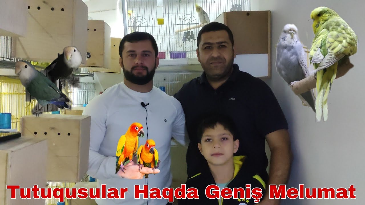 Tutuqusular Haqda Geniş Melumat. Mubariz Emin Tv Qonagi Olduq. 