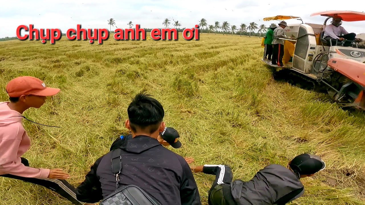 Bắt chuột mùa hạng tại đồng Phong Thạnh ai ngờ chuột rất nhiều anh em chụp thấy mê