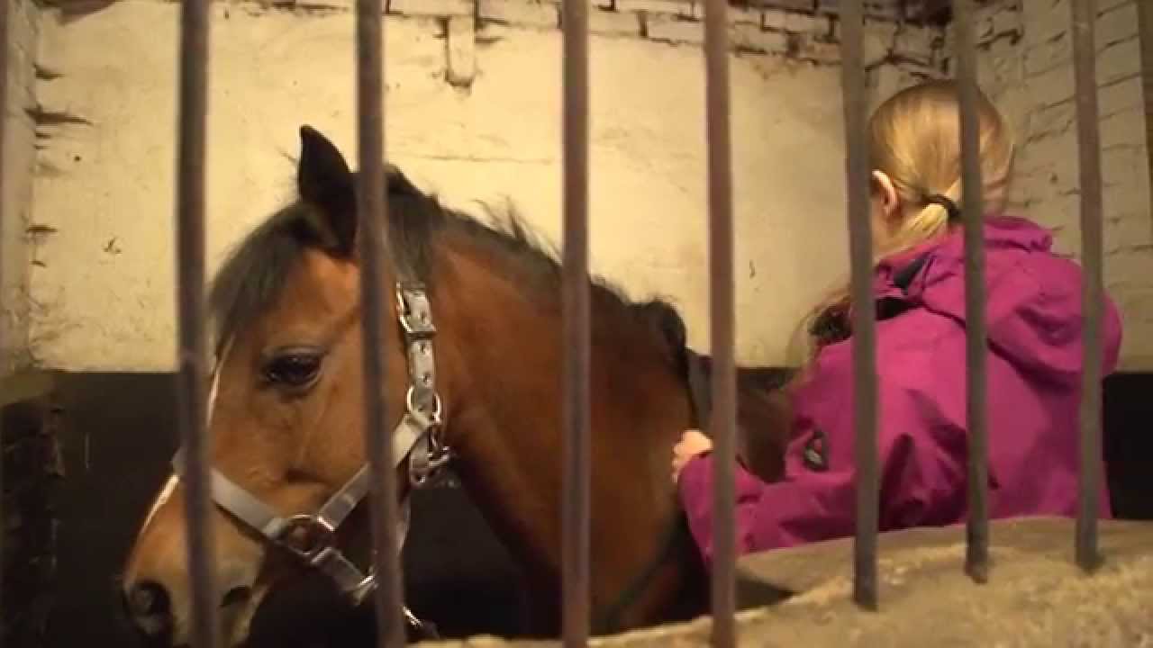 Demi, aflevering 1: Passie voor paarden
