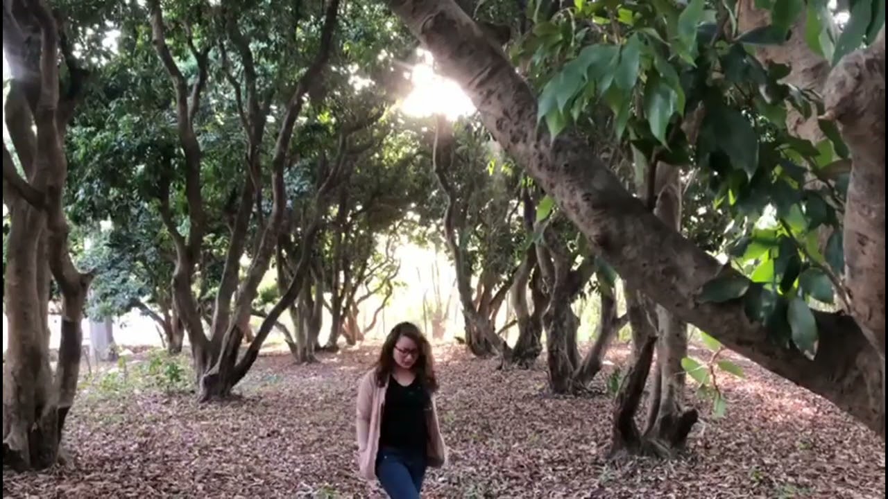 LAWMTEI CHAWNGTE - ISU KA HMANGAIH CHE KA TA I NI E