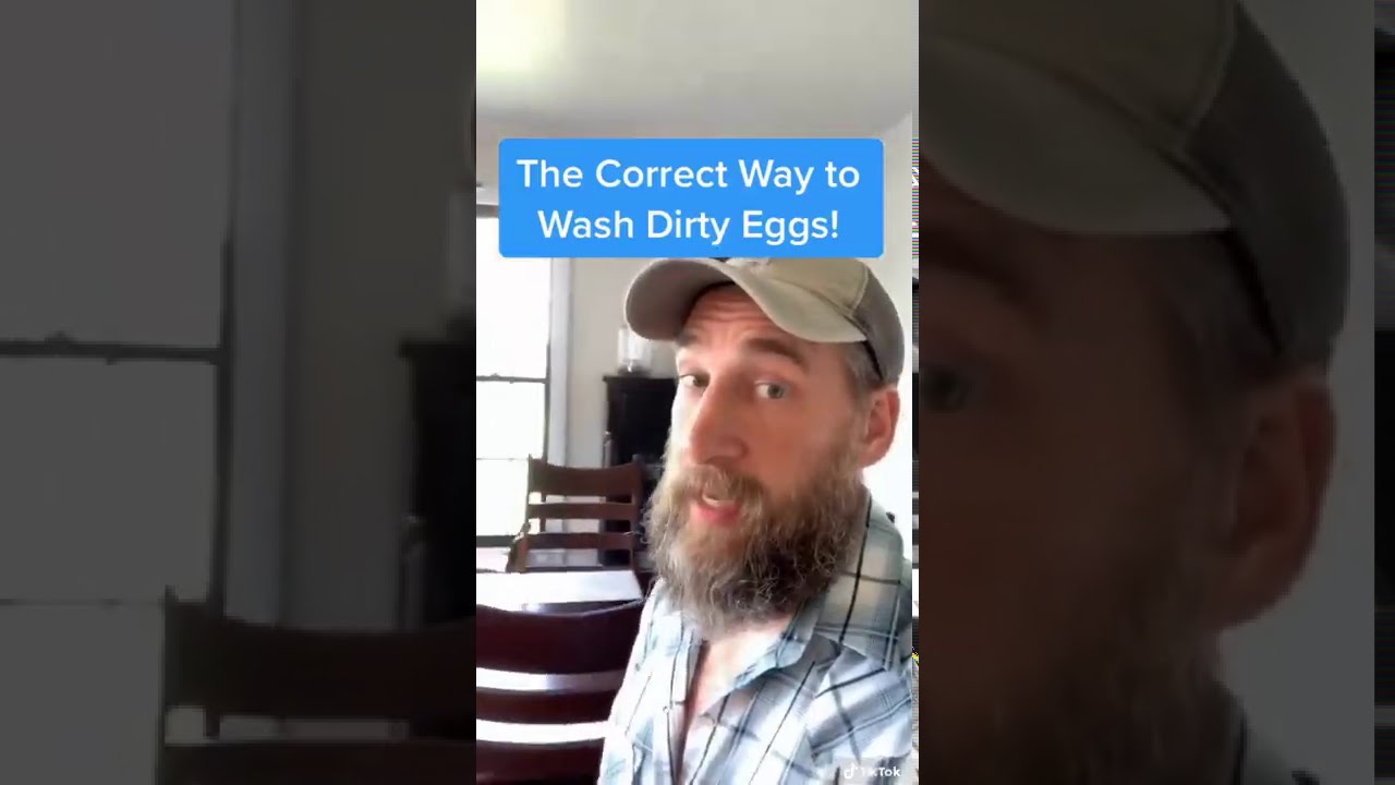 The correct way to wash dirty eggs!