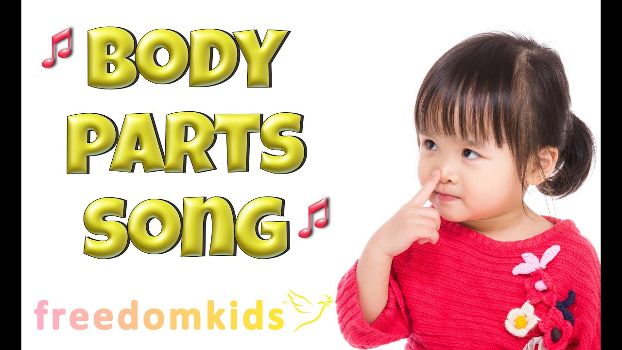 BODY PARTS Song |  Freedom Kids