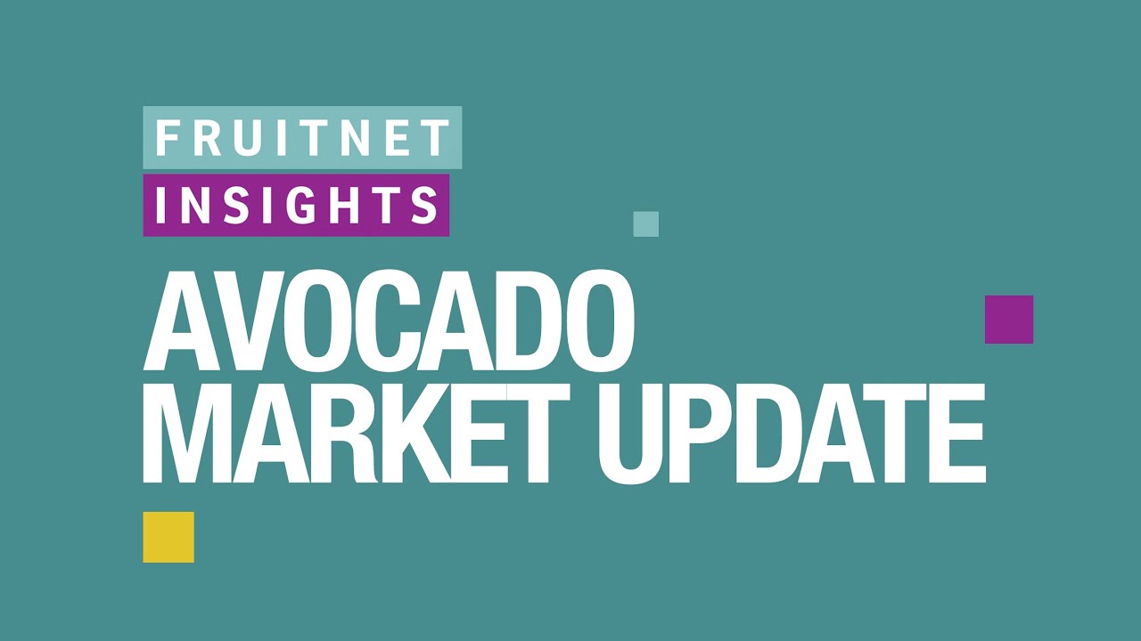 Fruitnet Insights &middot; Episode 1 &middot; Avocado Market Update 2020