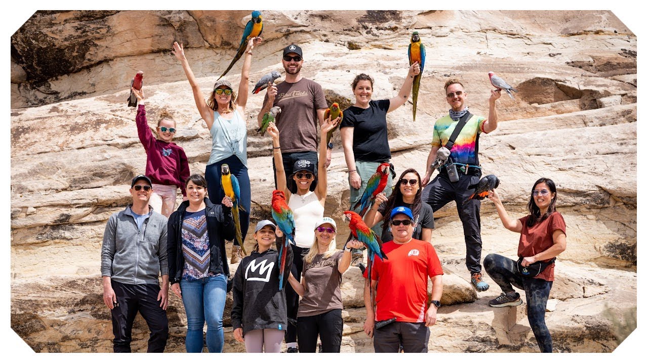 Better Than Freeflight | Become Part of Our Family! @The Green Bird Brigade