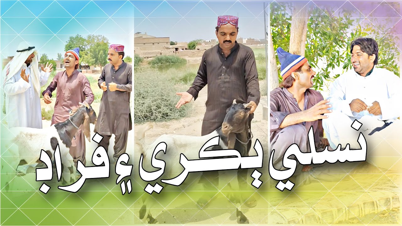 Nasli Bakri Aen Froud | Popat Khan | Sajjad Makhni | Lollipop