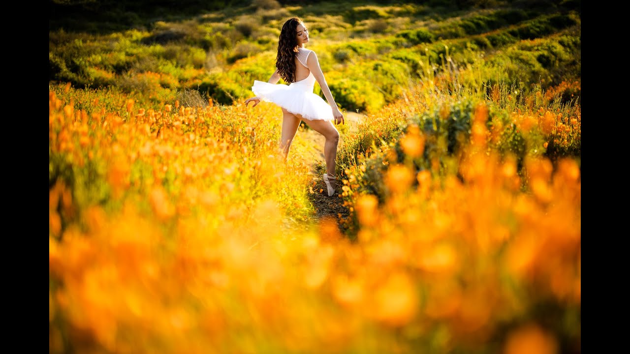 Intro to the Retouching Toolkit - The Power of Lightroom Retouching