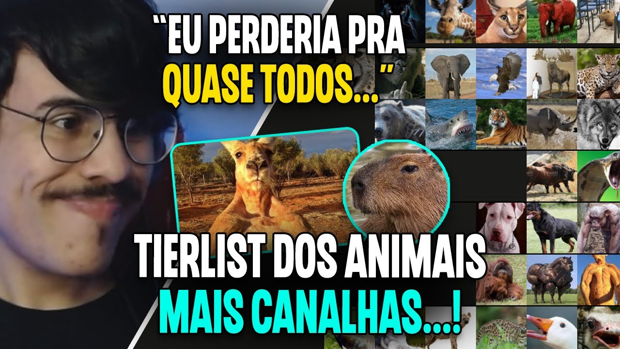 MICHI FAZENDO TIERLIST DE ANIMAIS QUE SAIRIA NO SOCO | Cortes do Michi