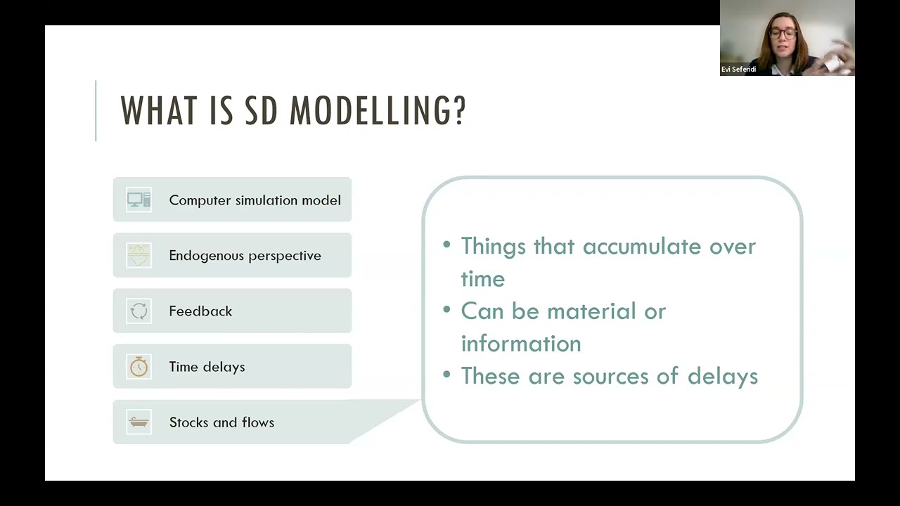 Systems Thinking Webinar Series. Webinar 5 – Dr Paraskevi Seferidi