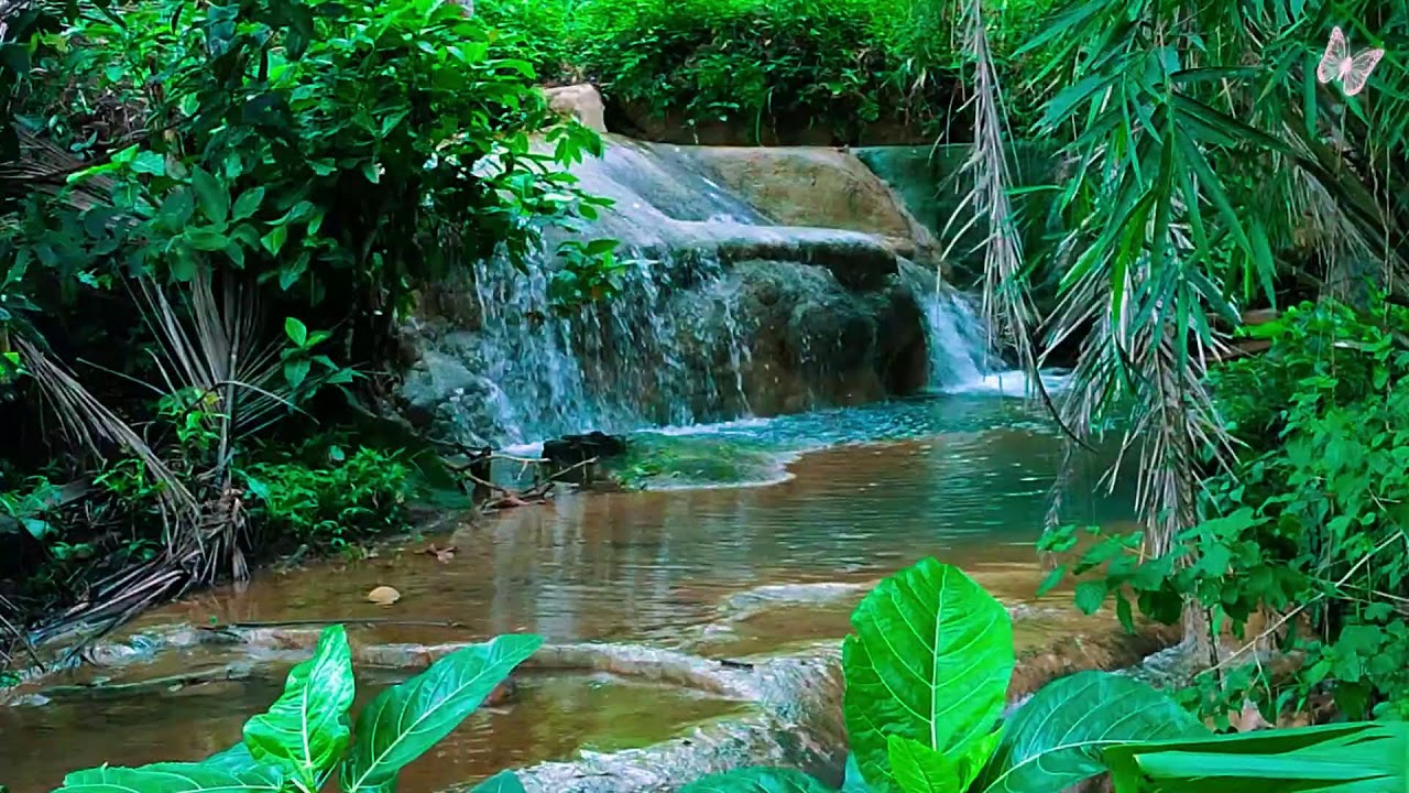 Relaxing Music For Stress Relief, Anxiety and Depressive States🌲 Heal Mind, Body and Soul Relax 22