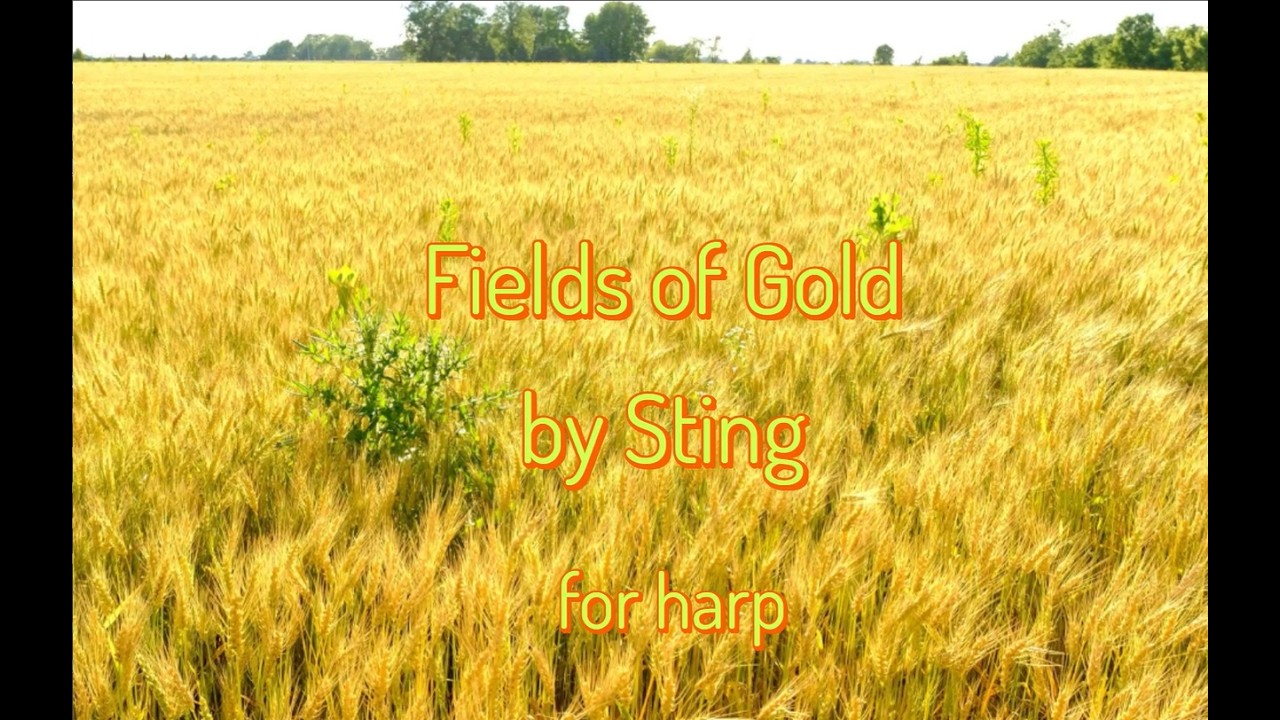 Fields of Gold - Harp Sheet Music