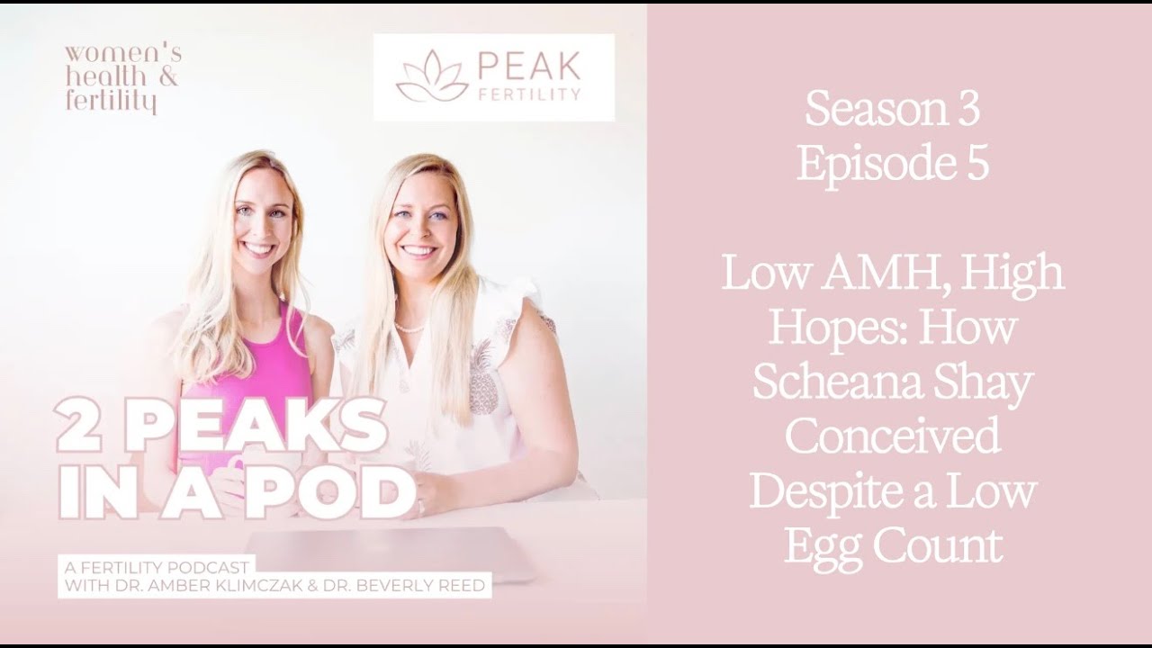 Low AMH, High Hopes: How Scheana Shay Conceived Despite a Low Egg Count