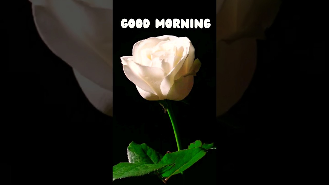 Good Morning Text Message To Someone Special ❤️