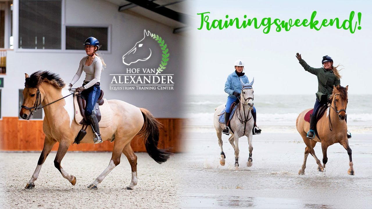 Trainingsweekend bij Hof van Alexander! | felinehoi VLOG #249