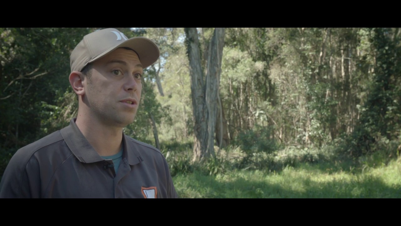 Indigenous bush regeneration at Mylestom, NSW