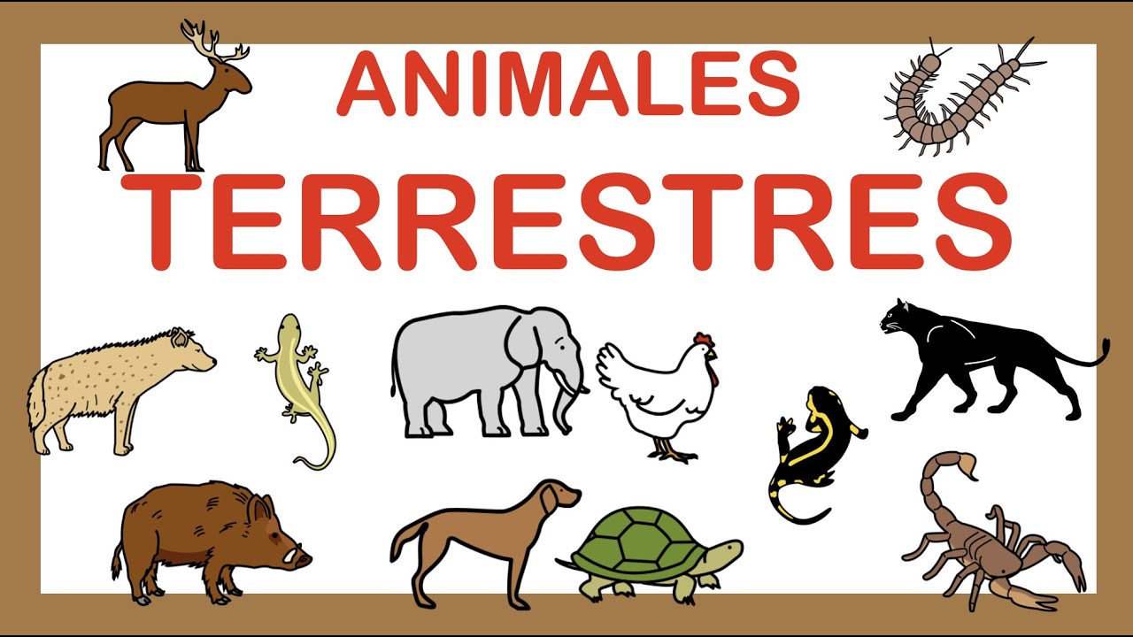 ANIMALES TERRESTRES 🐥 Vocabulario 🐘 ARASAAC