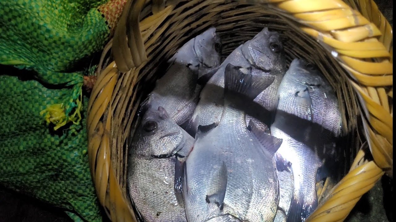 EN LA PESCA HAY DIAS Q HAY Y DIAS Q NO  !¡asi es la pesca !