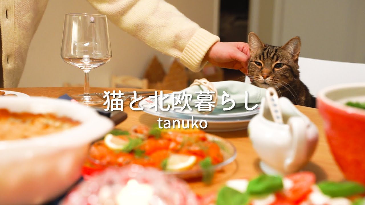 Тёплое Рождество с котами в Скандинавии 🎄Шведская вечеринка 