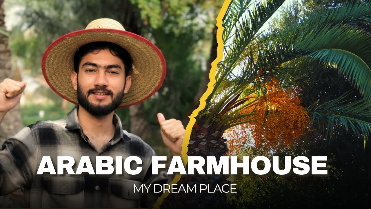 Exploring the Beauty of Arabic Farmhouse  | Majlis Style & Date palm garden | The Ashh