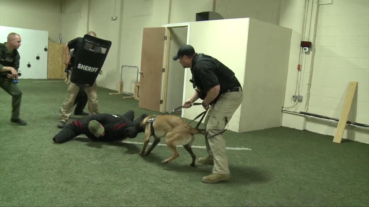 ACDT Tactical S W A T  Training