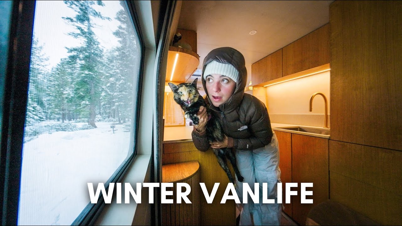 Cozy Vanlife Snow Day (with two cats)
