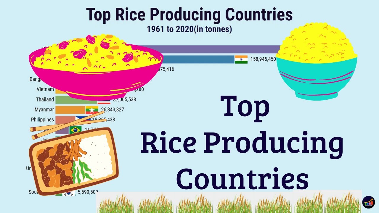 Top Rice Producing Countries (1961 to 2020) | Most Rice Producing Countries in the World | StatsDude
