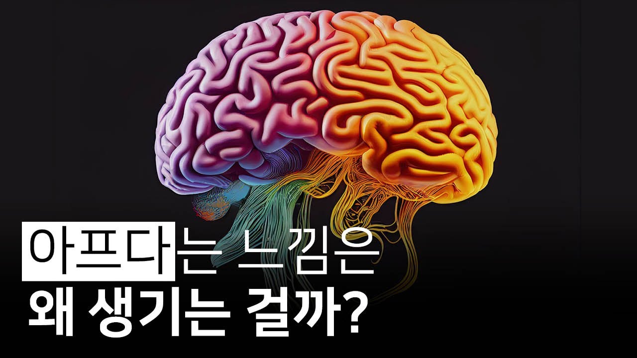 뇌는 고통을 느끼지 않는다, 고통을 만들어 낸다 | 고통의 비밀, 몬티 라이먼
