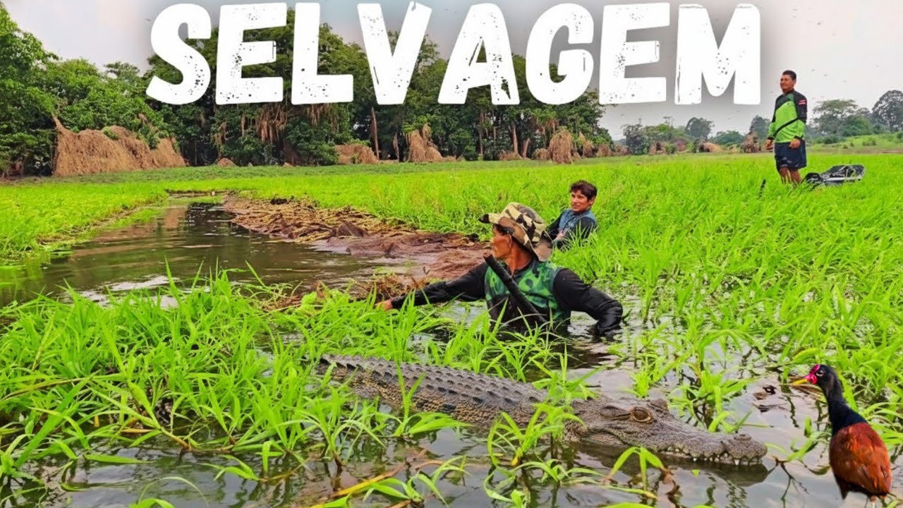 PESCARIA SELVAGEM NO LAGO MAIS FARTO DO CAREIRO DA VARZEA NO CORAÇÃO DA AMAZÔNIA 
