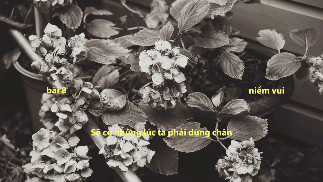 Nguyen Anh Duc - niềm vui (Lyrics Video)