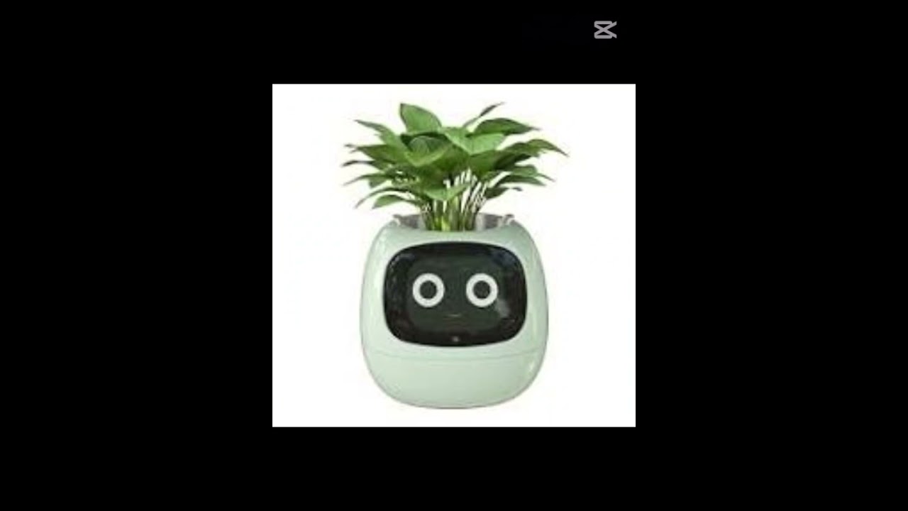 #IvySmartPlante #SmartGardening #HomeGardening #PlantTech #GardenInnovation #UrbanJungle #SmartHome