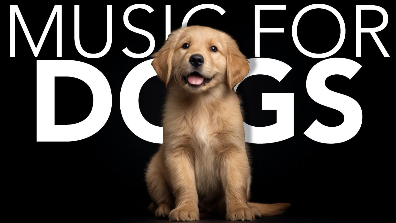 10 HOURS of Dog Relaxing Music 💖🦮 Gentle Music to Help Dogs Stay Calm
