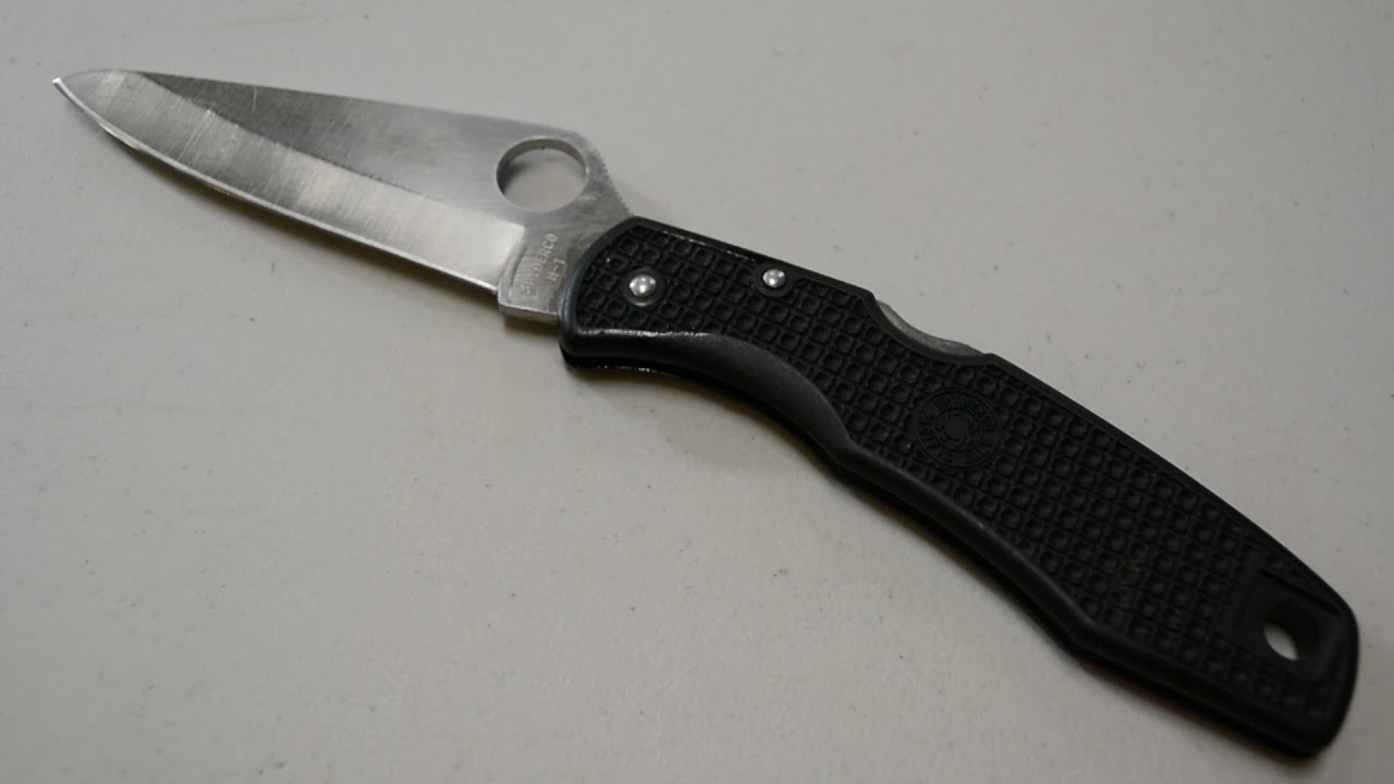Spyderco Pacific Salt Review - A Knife That Never Rusts